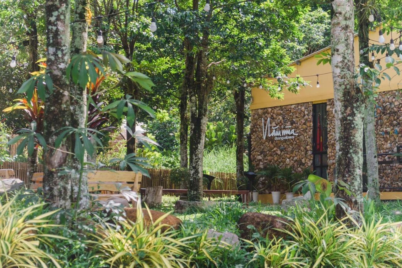 Nam Mua Bungalows Huong Hoa 外观 照片